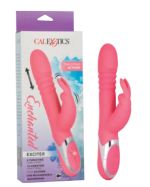 Enchanted Exciter Calexotics