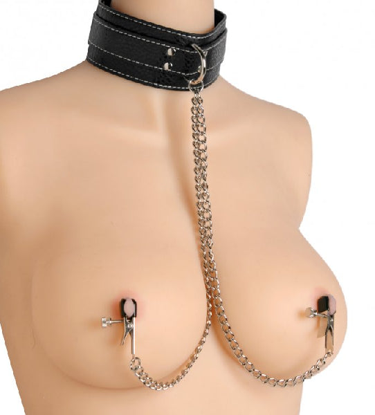 Master Series Coveted Collar And Clamp Union leather collar nipple clamp bondage set - ClubX Australia