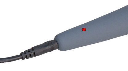PalmPower Massage Wand  - Club X