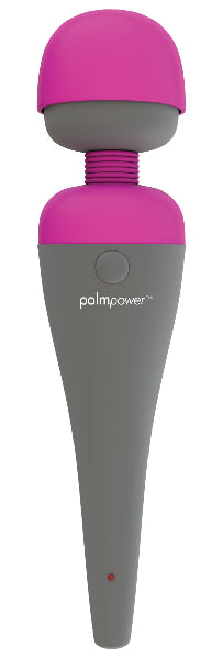 PalmPower Massage Wand  - Club X
