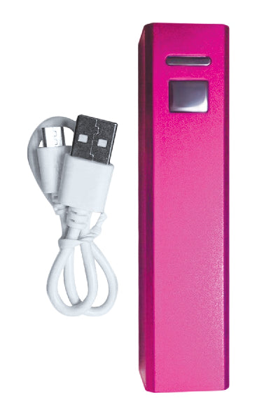 PalmPower Massage Wand Plug & Play USB  - Club X